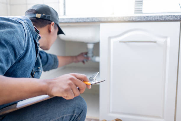 Best Local Plumber Services  in Sebastian, TX